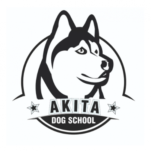 Akita Dog School