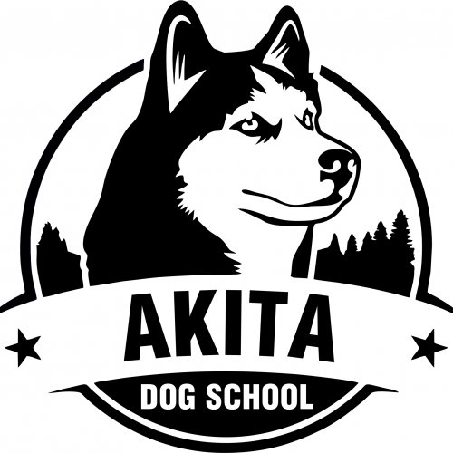 Akita Dog School
