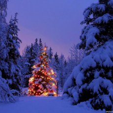 Новогоднее поздравление от Деда Мороза и Снегурочки на дом!