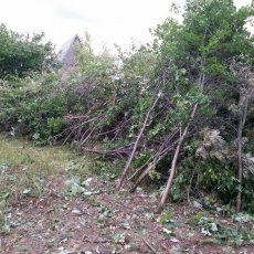 Расчистка участка, подготовка под огород Тюмень.