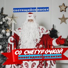 Дед Мороз и Снегурочка на дом в Москве и МО