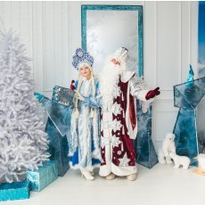 Дед Мороз и Снегурочка на дом, спектакли, шоу программы